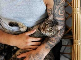 Howl’s Moving Castle Tattoo