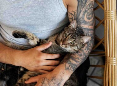 Howl’s Moving Castle Tattoo