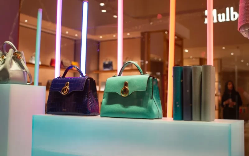 Designer handbags for women